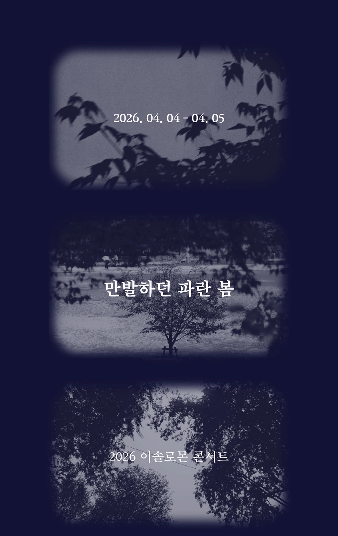 2026 이솔로몬 콘서트 <만발하던 파란 봄> 상세 이미지